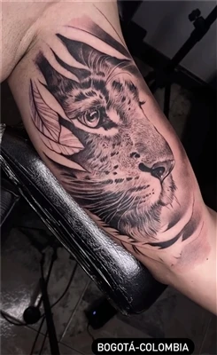 Hva betyr Half Tiger Tattoo?